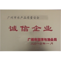 公司荣誉